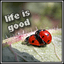 Lifeisgood