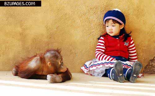 monkey and Baby