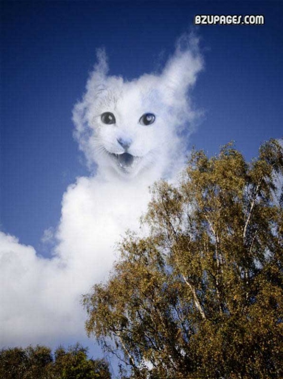 Disturbing Manipulated (1)