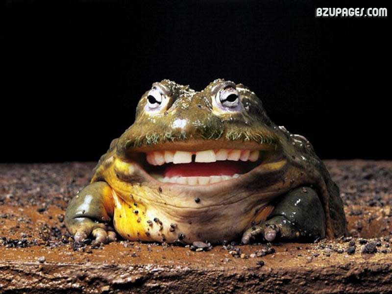 Disturbing Manipulated (3)