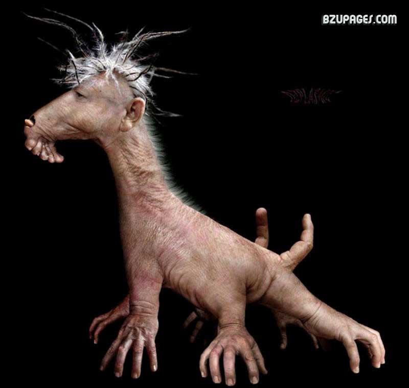 Disturbing Manipulated (6)