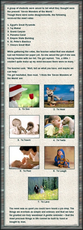 7 Wonders of the World (Must See & Forward)