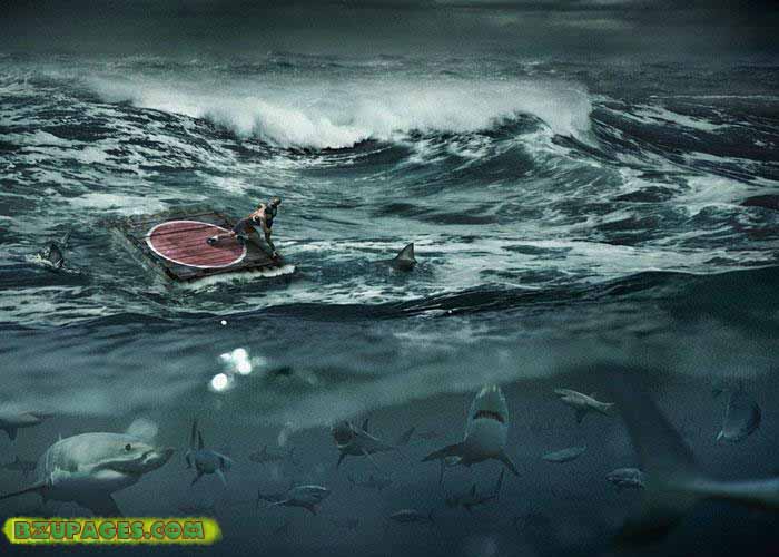 Where it is , in this world...