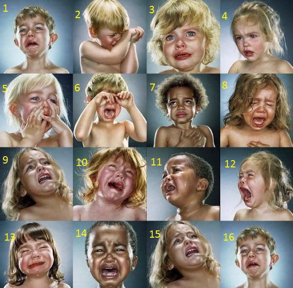 Tell me ap kis terah rotay ho.