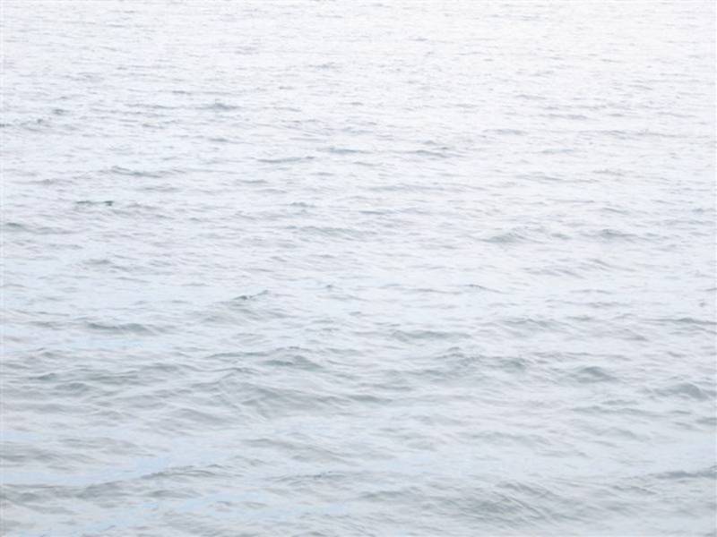 Submarine Racing Champion