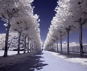 122824(01)(01)(01) (