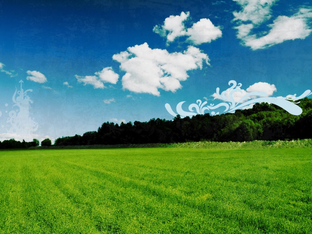 Green Green Grass (1024x768)