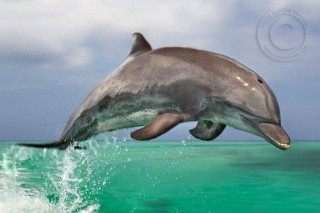 877031639 ef1677be7a o