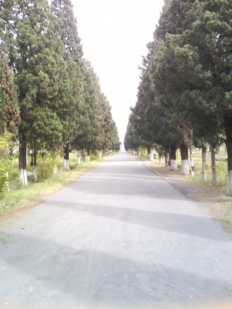 Meray College Ka Road
