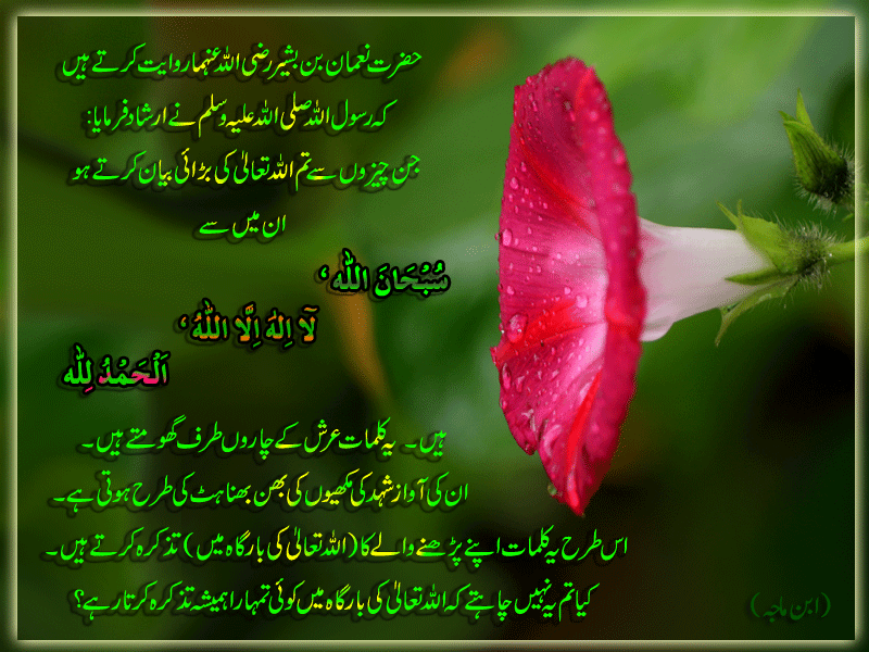 Hadees