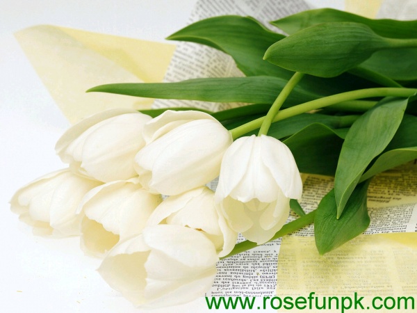 Romantic Flower Setting 37