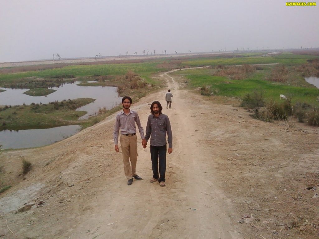 Sheraz n wasif coming