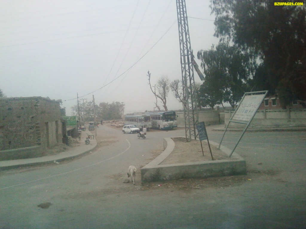 These buses were still there, while we were entered & were coming back