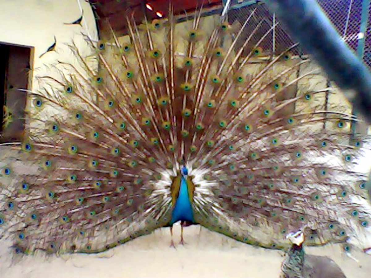 Again Beautiful Picture