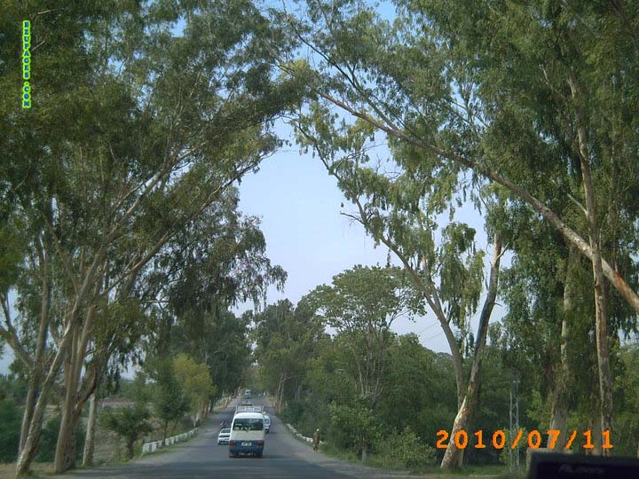 Naran Valley Trip July 2010 (2)