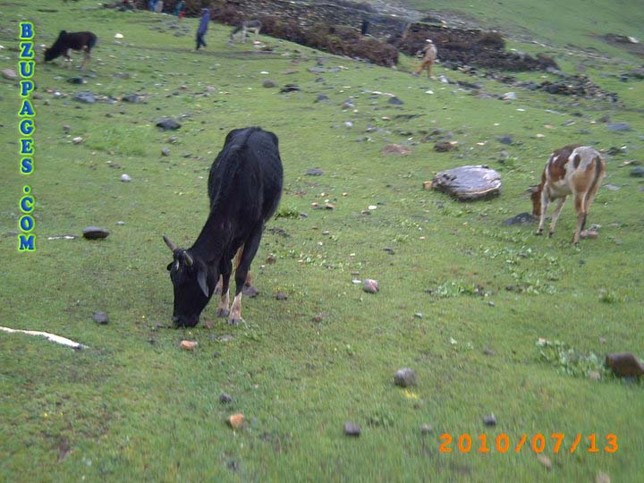 Naran Valley Trip July 2010 (11)