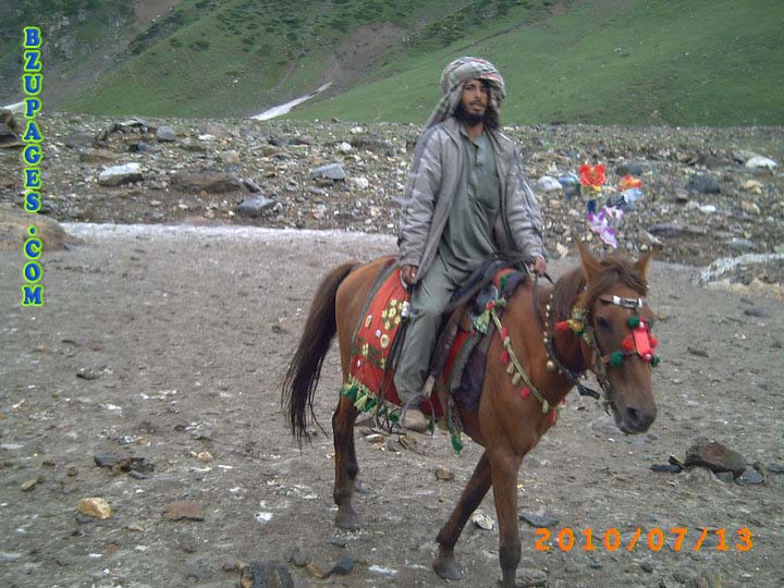 Hourse in Naraan Wadi