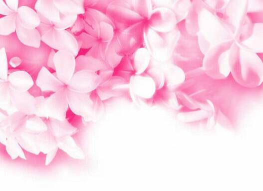 Wallpaper Pink Flowers1 rot 270