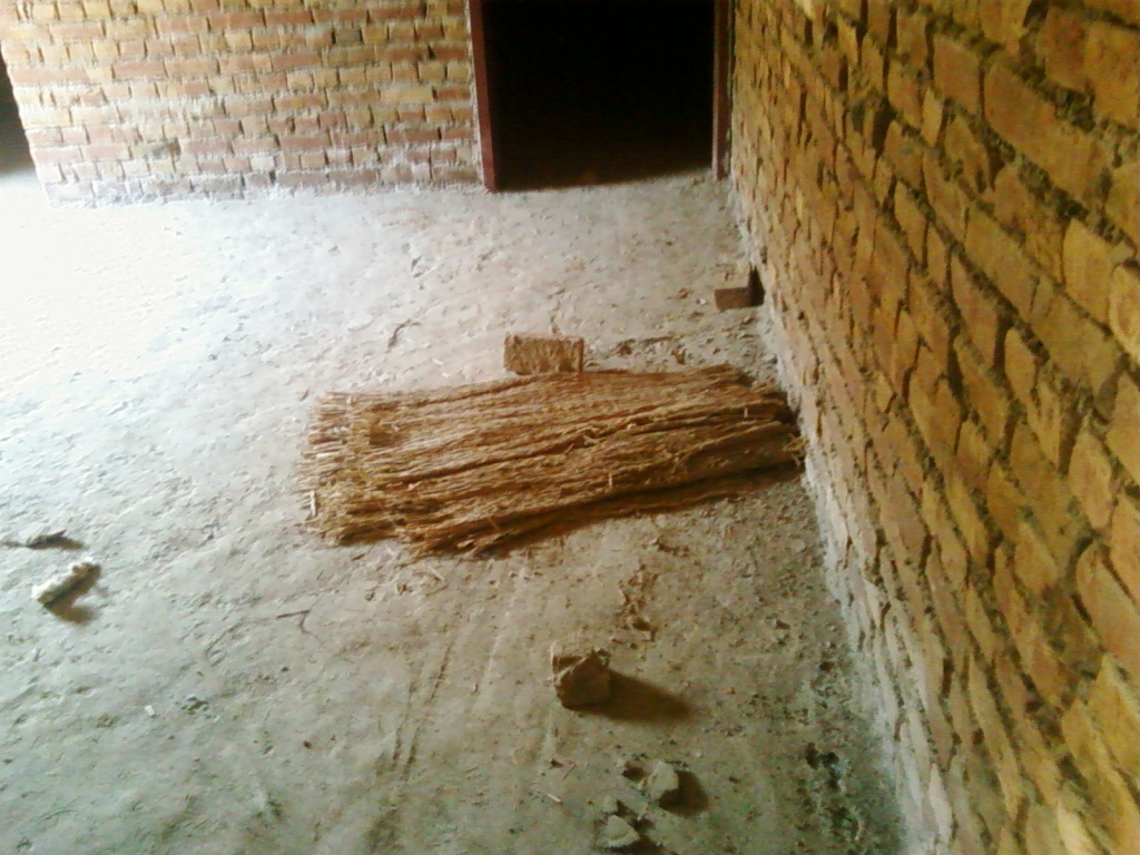 26 March 2010, before purchasing of  Building