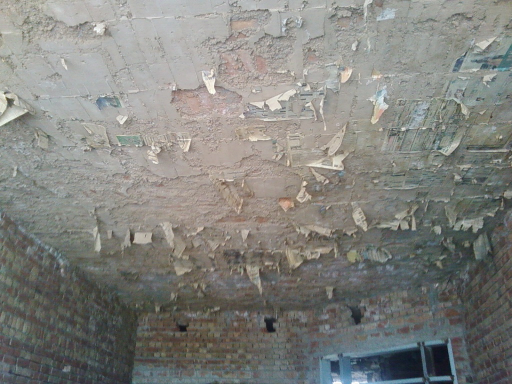 Lunter ;26 March 2010