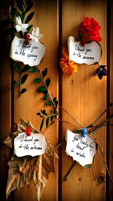 180333 187297951291418 139922516028962 542792 5809364 n