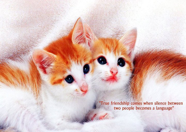 183951 202996593044455 202479473096167 814707 6967916 n