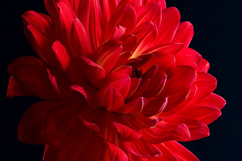 user280 pic1168 1234611877