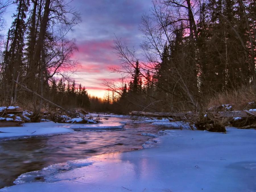 The beautiful nature