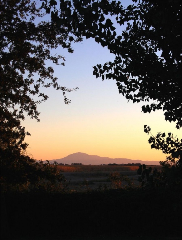 The beautiful nature (5)