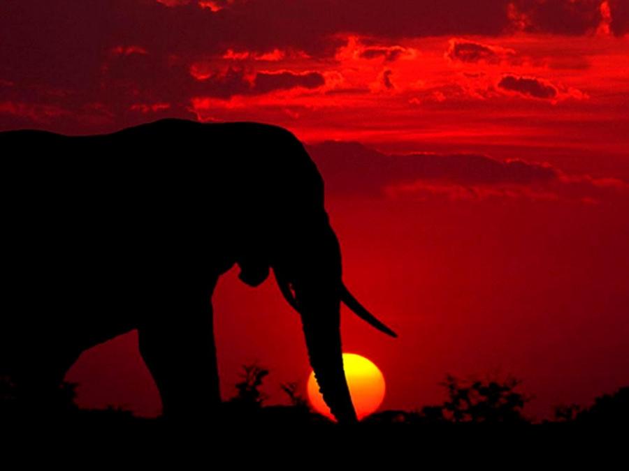 The beautiful nature (11)