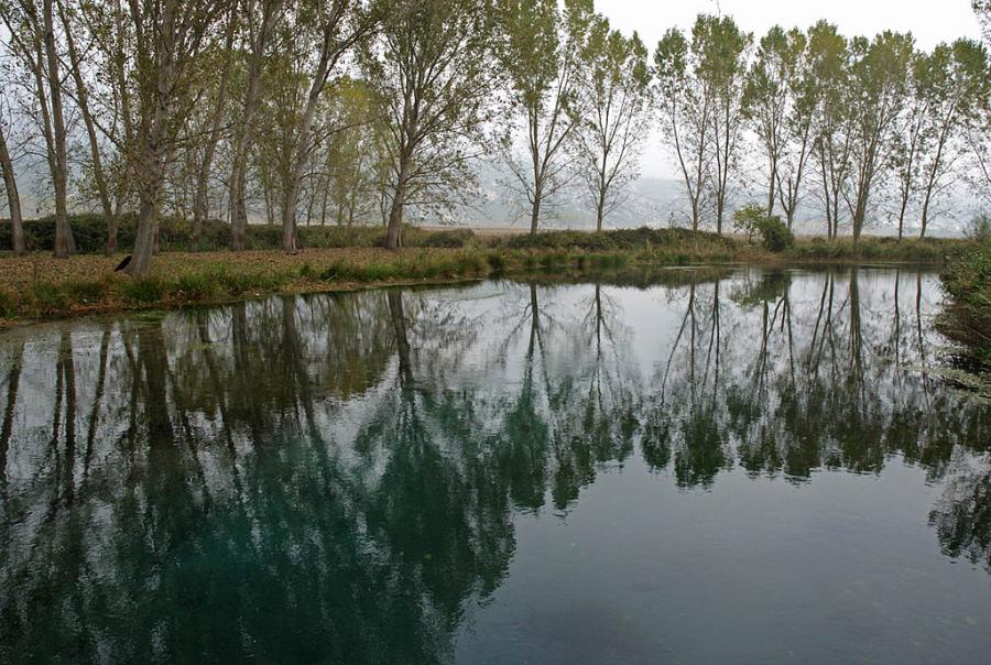 The beautiful nature (19)