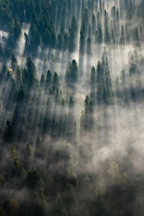 The beautiful nature (24)