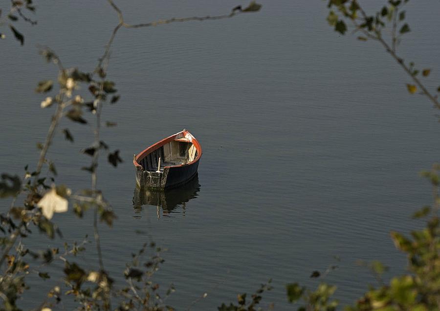 The beautiful nature (33)