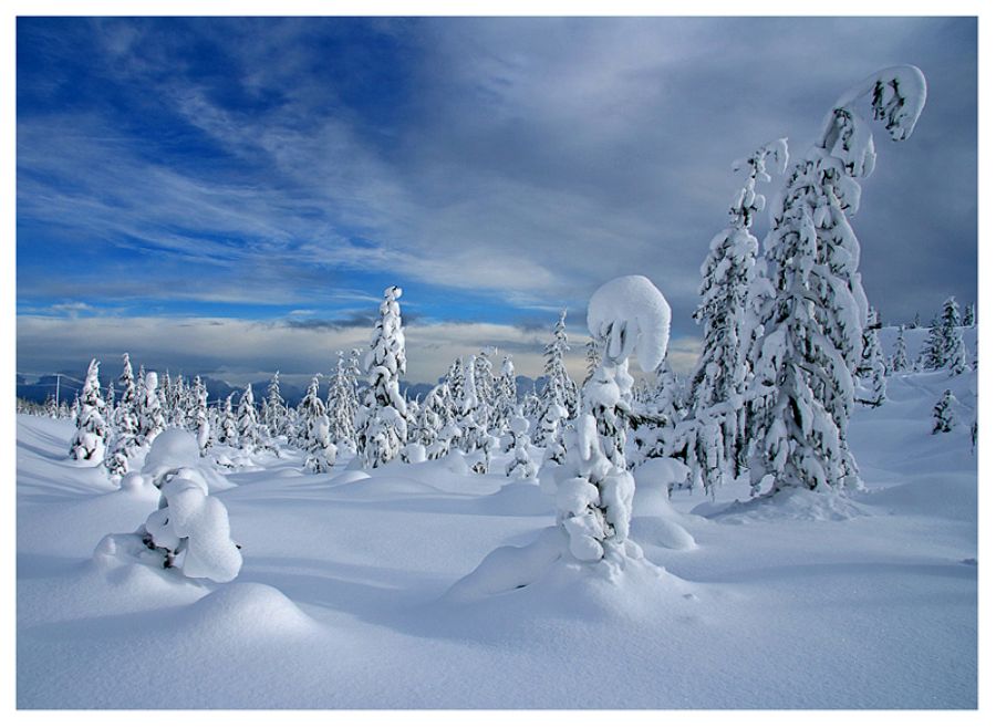 The beautiful nature (40)