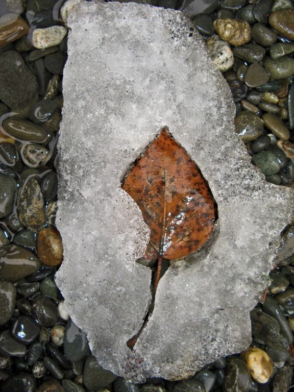 The beautiful nature (46)