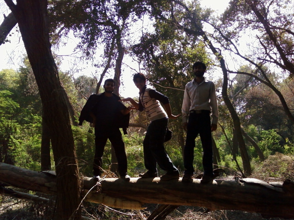 Shah Rukh . Ahmad and Aatif