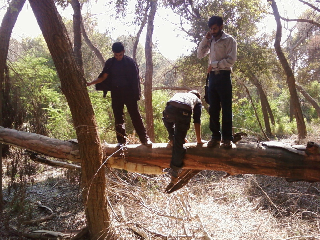 Ahmad kiya kar rahay ho .?