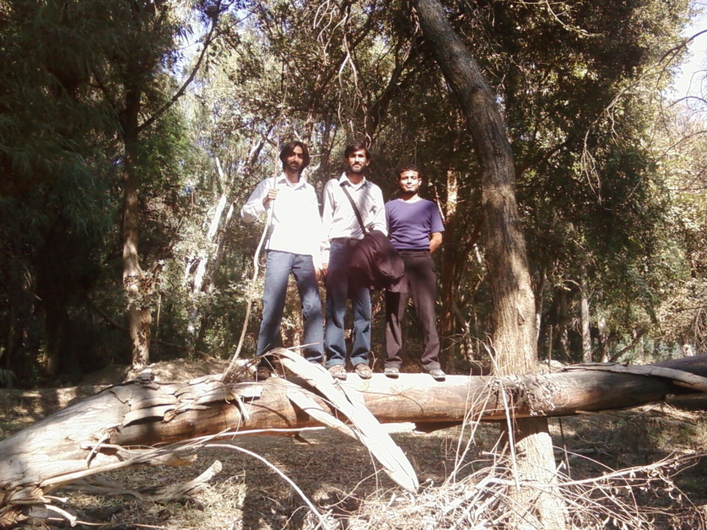 Hum Daray tu nahi thay>---