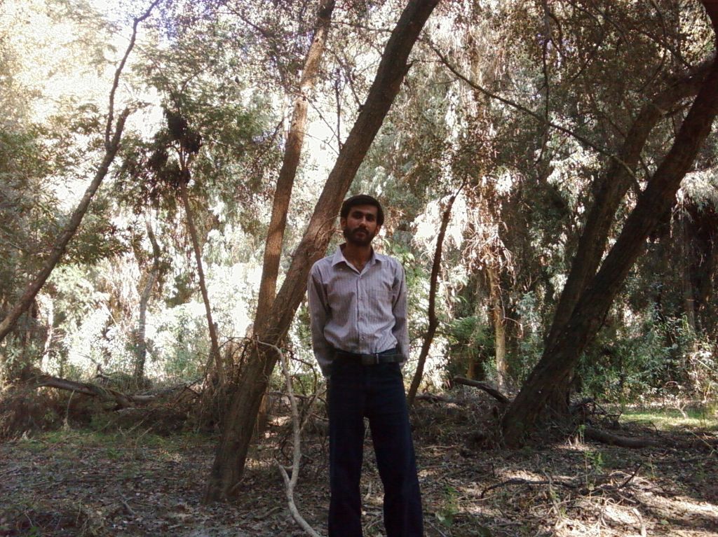 Look at the jungle behind the man...