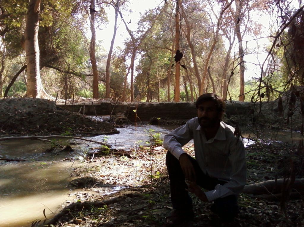 Nadi kay Kinaray ... koi hay! :)