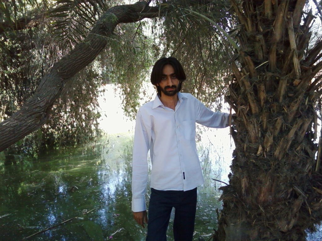Palm tree and Artificial Jheel