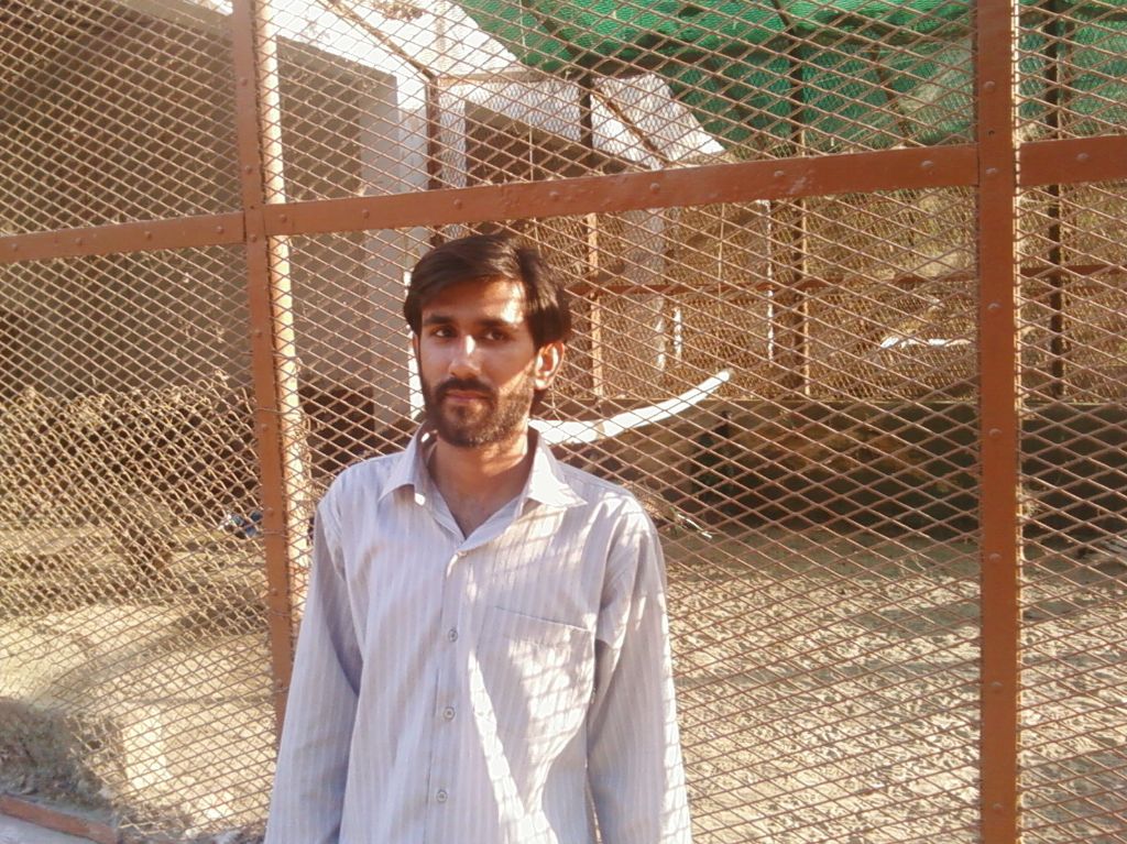 Aati... Peacock wandering behind... in the cage