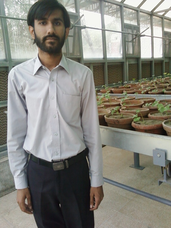 Aati.. Inside the Green House