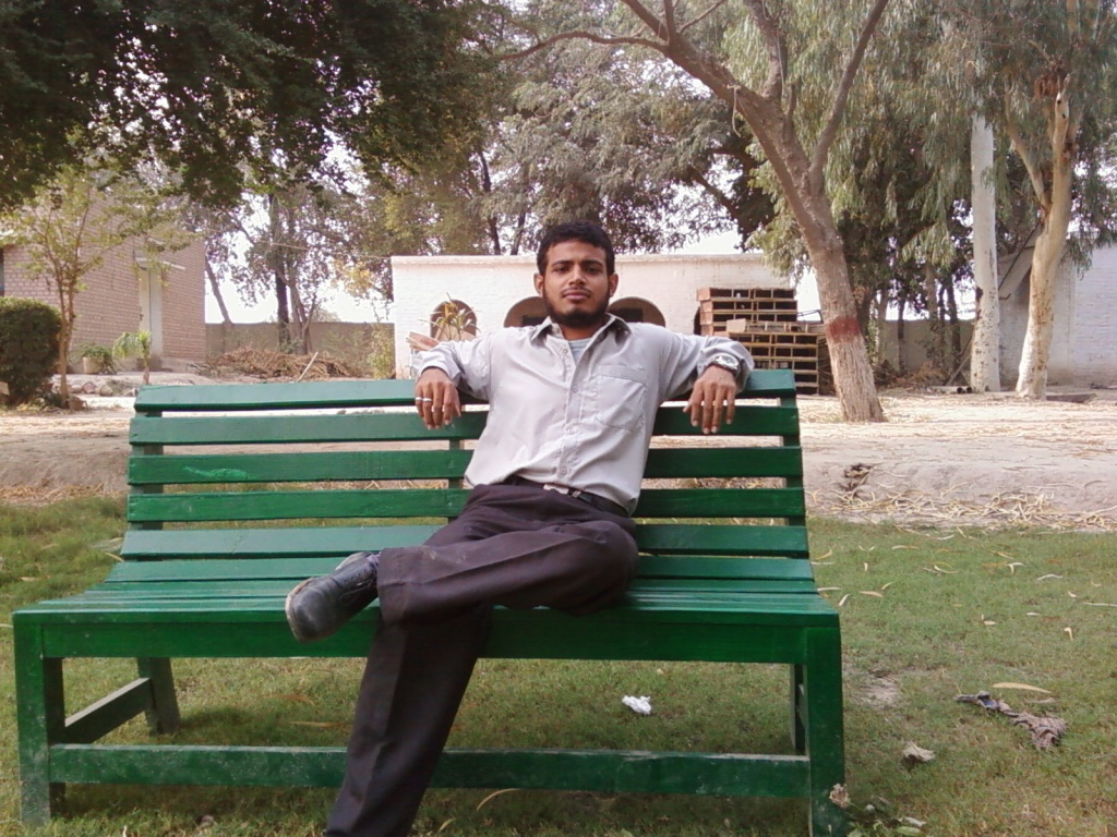 Shah Rukh... On the bench