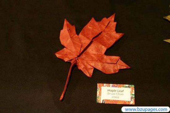 Papers Hand Made  Creations (18)