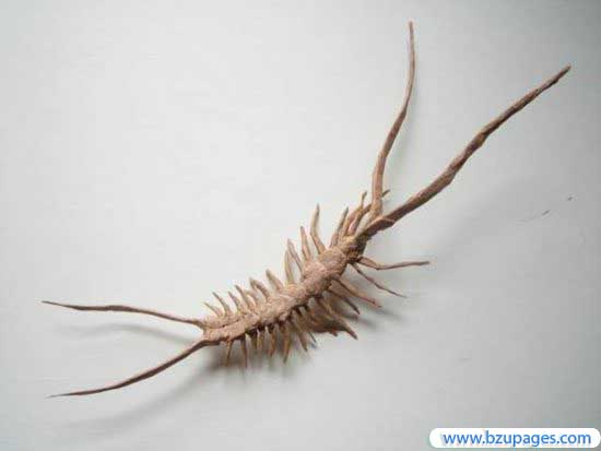 Papers Hand Made  Creations (25)