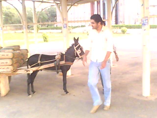 Abdul Ahad return 4m journy