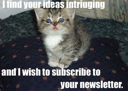 Cute Cats with comments (8)