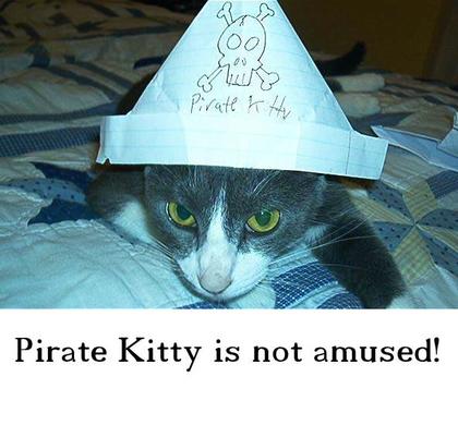 Cute Cats with comments (17)