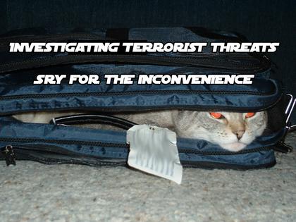 Cute Cats with comments (59)